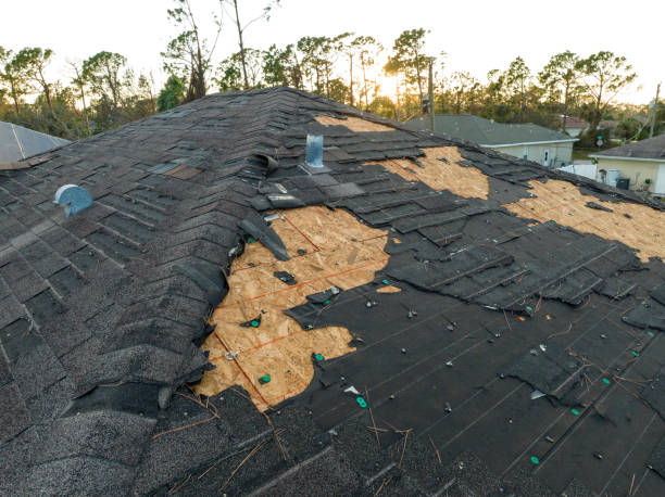 Cold Roofs in Ozark, MO