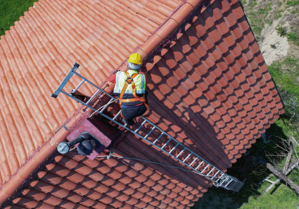 Best Roof Maintenance and Cleaning  in Ozark, MO